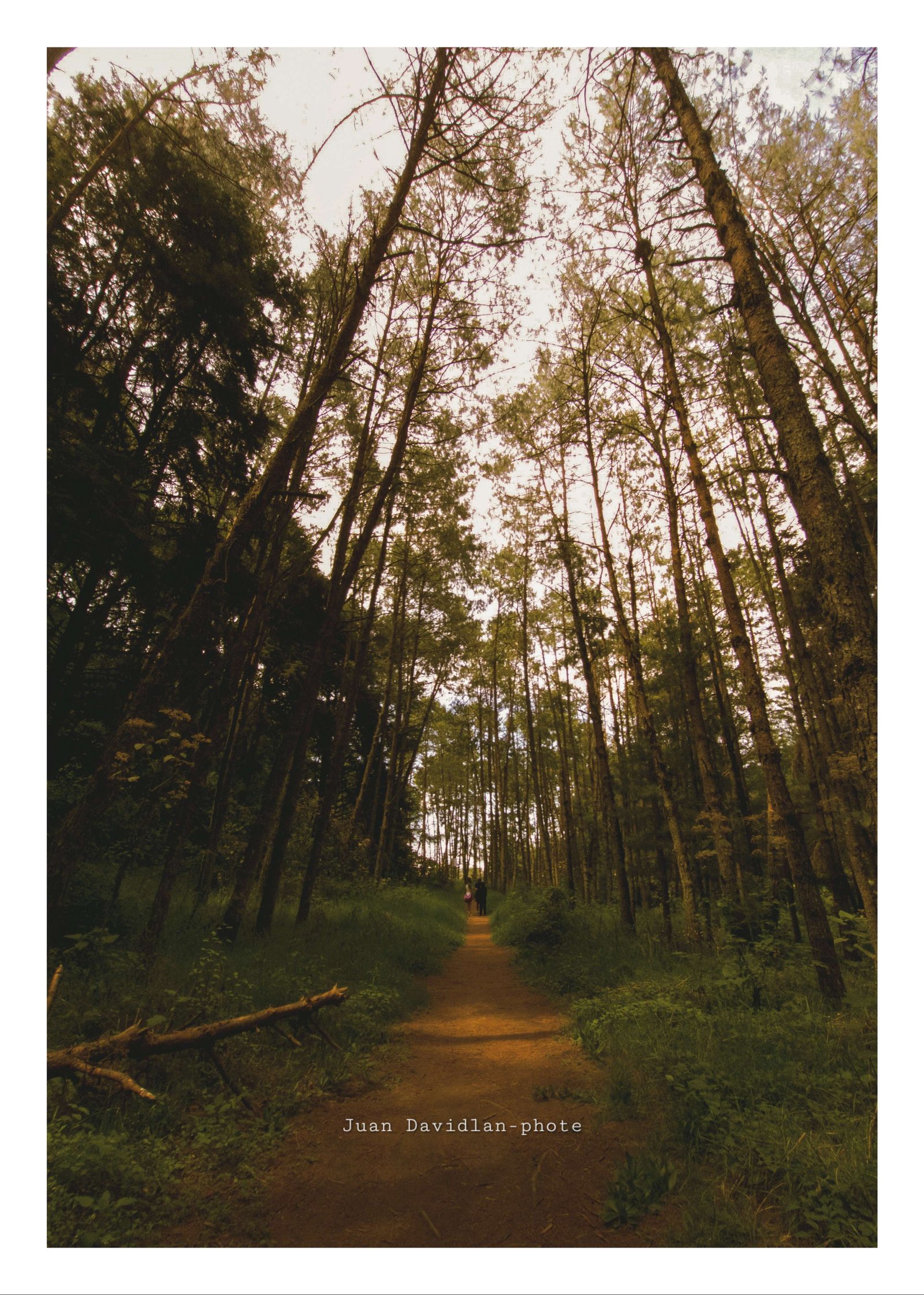 Altotonga Paisajes
